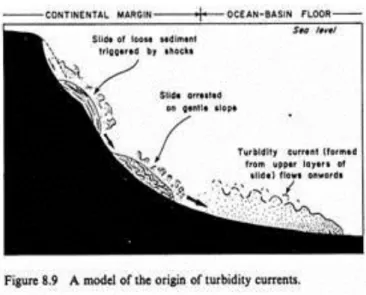Gambar  disamping  memperlihatkan  bahwa  arus  turbidit  terjadi  di  lereng  di  bawah  permukaan  laut  yang  mungkin  disebabkan  oleh  gravitasi,  gempa  bumi  atau  badai  laut  yang mengakibatkan tercampurnya material 