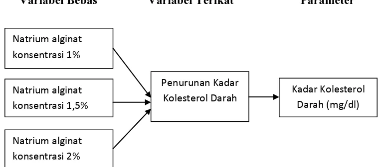 Gambar 1.1 Kerangka Pikir Penelitian 