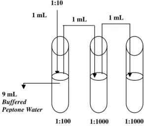 Gambar A.1 - Tingkat pengenceran menggunakan larutan pengencer Buffered Peptone   Water (BPW) 