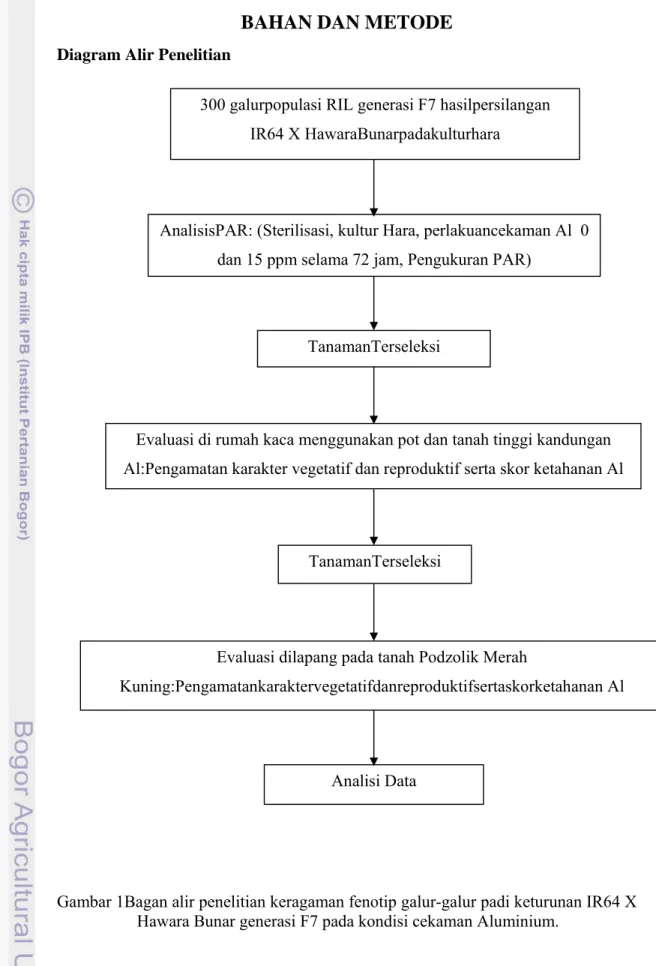 Diagram Alir Penelitian 