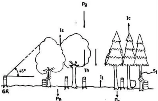 Gambar 5. Komponen-komponen Intersepsi 