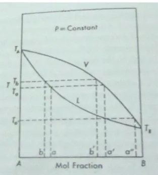 Gambar II.6 Sistem Pada Tipe I  (Maron &amp; Lando, 1965)