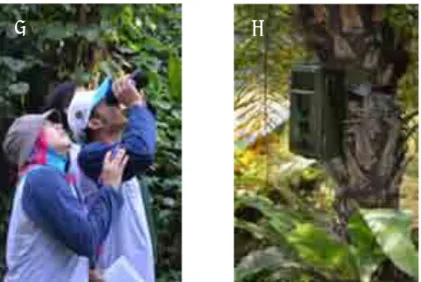 Gambar 3.  Pengamatan  satwa  menggunakan  teropong/bino- teropong/bino-cular (A) dan monitoring satwa menggunakan camera/video trap  (B) 