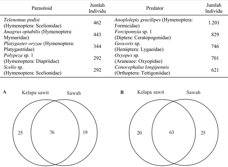 Tabel 2.  Parasitoid dan predator yang dominan ditemukan pada pertanaman kelapa sawit dan padi sawah