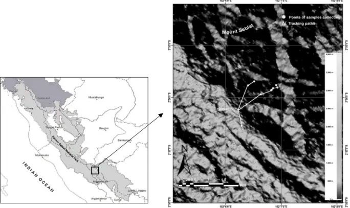 Gambar 1. Peta lokasi penelitian di Bukit Seblat, Desa Seblat Ulu, Kecamatan Pinang Belapis, Kabupaten Lebong, Provinsi Bengkulu 