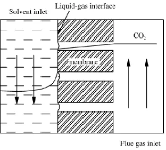 Gambar 2.2 prinsip CO 2 -membrane gas absorption (Shui-ping Yan 2007)  Secara  umum,  jenis  aliran  umpan  yang  melalui  membran  dapat  dibedakan  menjadi dua jenis, yaitu aliran dead-end dan aliran cross flow seperti yang ditunjukan  pada  gambar  2.3