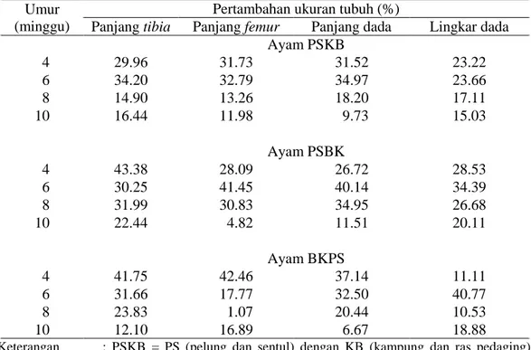 Tabel 7  Pertambahan ukuran tubuh  ayam PSKB, PSBK, dan BKPS betina  Umur 