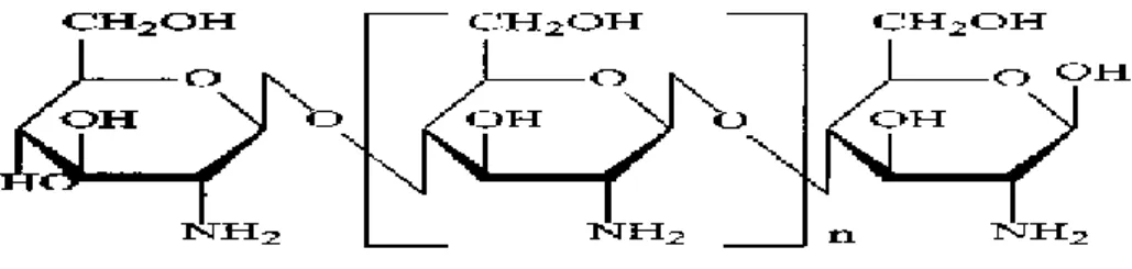 Gambar 1. Struktur kimia kitosan 
