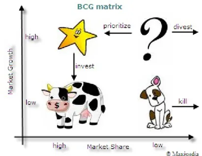 Gambar 3. Misi Bisnis Unit Model BCG