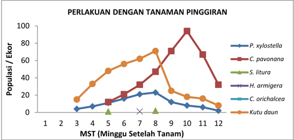 Gambar  2.  Kelimpahan  Populasi  Spesies  Hama  yang  Berasosiasi  dengan  Tanaman Kubis pada Petak Perlakuan dengan Tanaman Pinggiran 