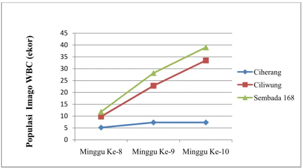 Gambar 1. Kurva populasi imago WBC pada 3 varietas padi minggu ke-8, minggu ke-9, dan minggu ke-10