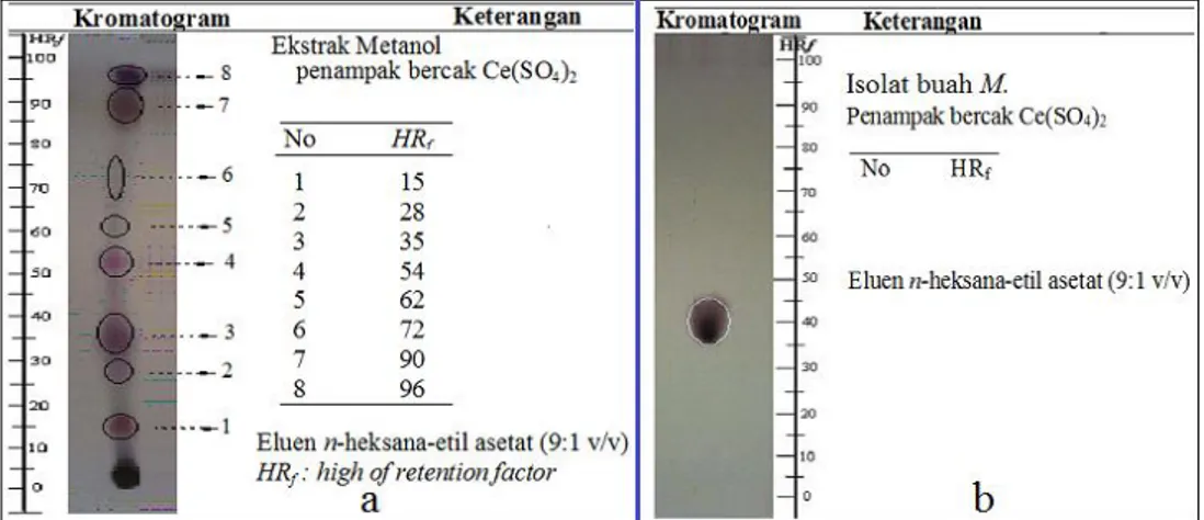 Gambar 1. a)  kromatogram ekstrak metanol dan b) kromatogram senyawa hasil isolasi 