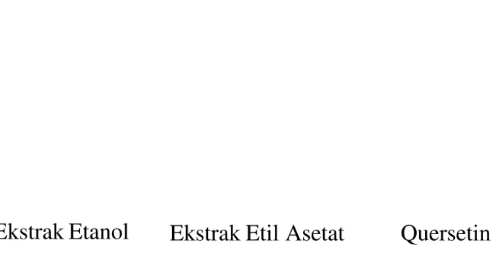 Gambar  3.1.  Ilustrasi  peredaman  warna  DPPH  oleh  ekstrak  etanol,  ekstrak  etil  asetat  dan quersetin