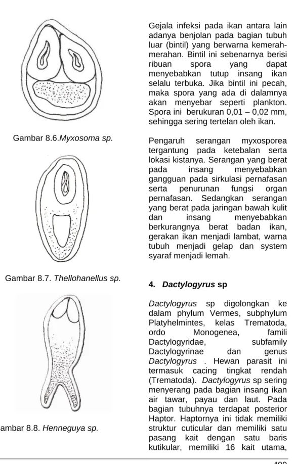 Gambar 8.6.Myxosoma sp.