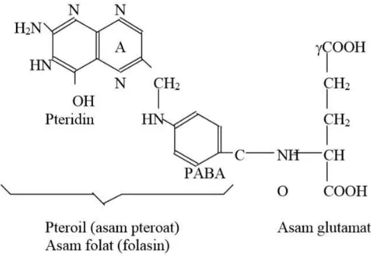 Gambar 5. Struktur kimia folat (Fiqueiredo, dkk., 2009) 
