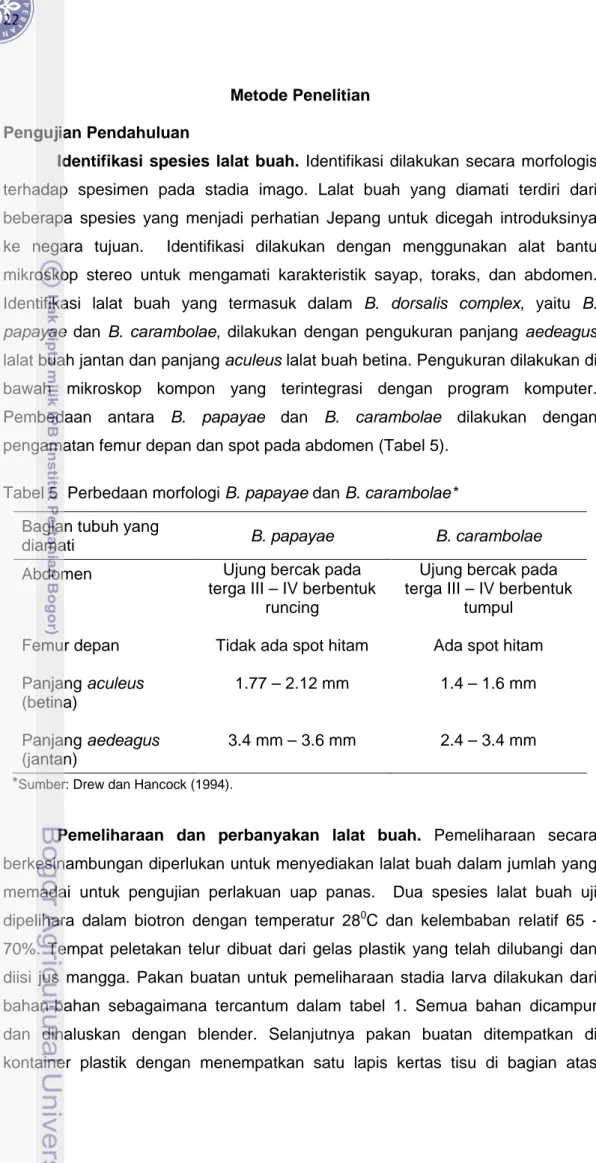 Tabel 5  Perbedaan morfologi B. papayae dan B. carambolae* 