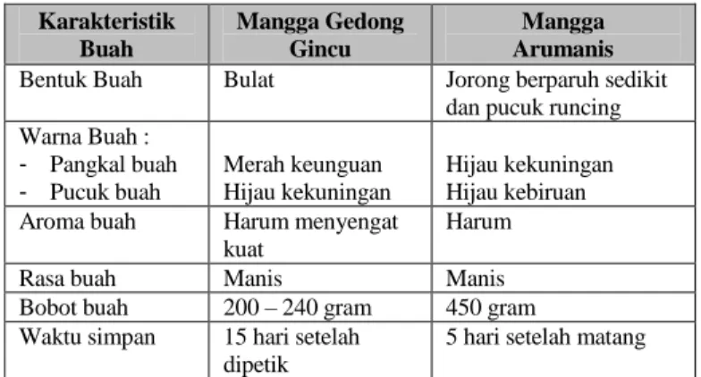 Tabel  1.  Karakteristik  Mangga  Gedong  Gincu  dibandingkan  Mangga Arumanis [6]  Karakteristik Buah  Mangga Gedong Gincu  Mangga   Arumanis Bentuk Buah Bulat  Jorong berparuh sedikit 