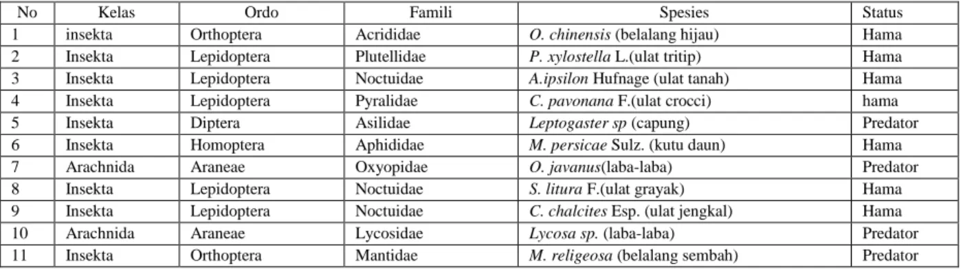 Tabel 1.Komposisi arthropoda menurut taksonomi dan  status dalam agroekosistem 