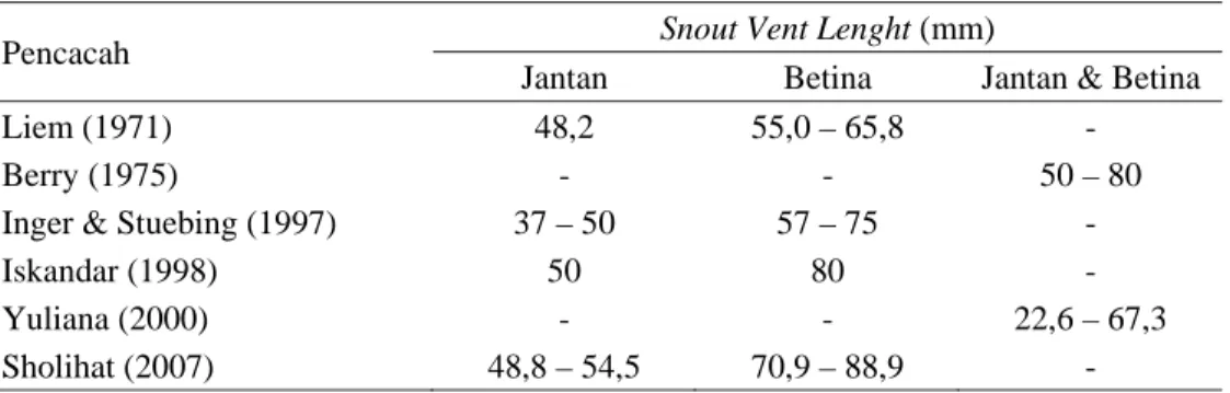 Tabel 1.  Perbandingan ukuran panjang tubuh/ SVL katak pohon bergaris. 