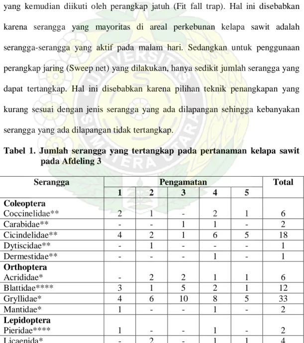 Tabel 1. Jumlah serangga yang tertangkap  pada pertanaman kelapa sawit  pada Afdeling 3      