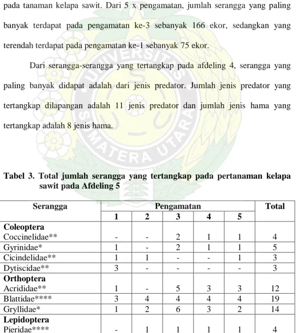 Tabel 3. Total jumlah serangga yang tertangkap pada pertanaman kelapa  sawit pada Afdeling 5      