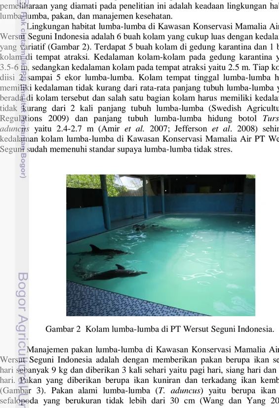 Gambar 2  Kolam lumba-lumba di PT Wersut Seguni Indonesia. 