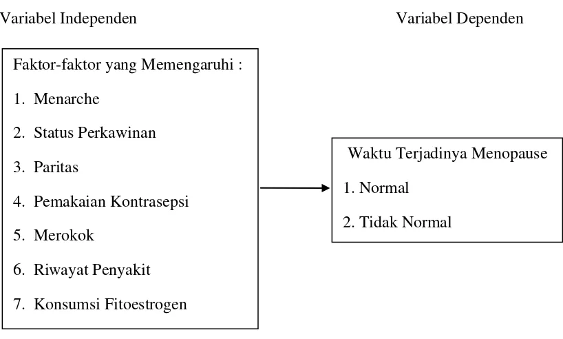 Gambar 2.1 Kerangka Konsep Penelitian 