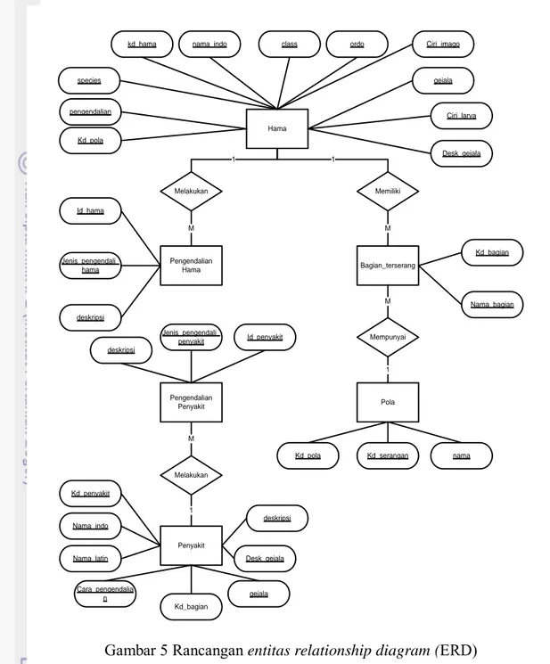 Gambar 5 Rancangan entitas relationship diagram (ERD) 