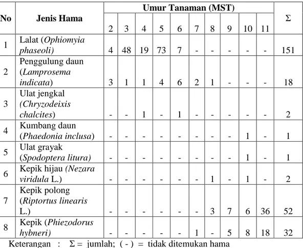 Tabel  3,  menunjukan  bahwa  ada  8  jenis  serangga  hama  utama  yang   menyerang kedelai  (Glycine max  L