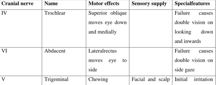 Table  1.  Simple  description  of  the  nerves  of  the  cerebello  pontine  angle  and  their  major  functions