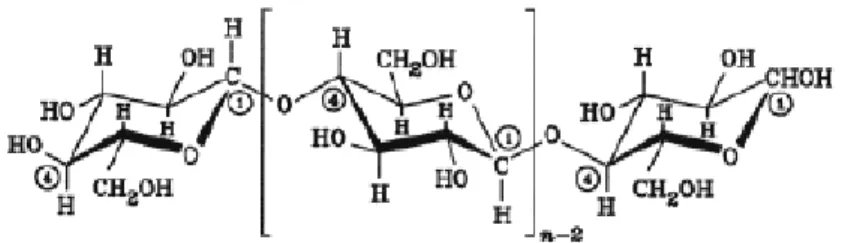 Gambar 2.1 Struktur Tunggal Molekul Selulosa [13] 