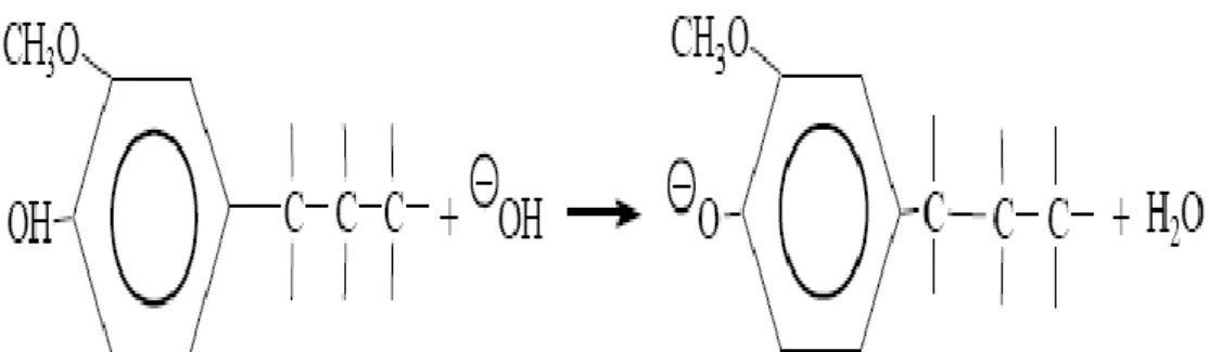 Gambar 1.  Reaksi lignin menggunakan NaOH pada proses perlakuan awal (pretreatment)     (Gilligan dalam Heradewi, 2007)  