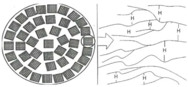 Gambar 4 Struktur kimia amilosa dan amilopektin (Kusnandar 2010) 