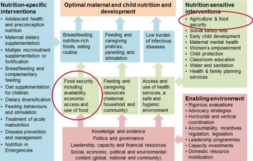 Figure 1: Framework for actions to improve maternal and child                 nutrition [1]