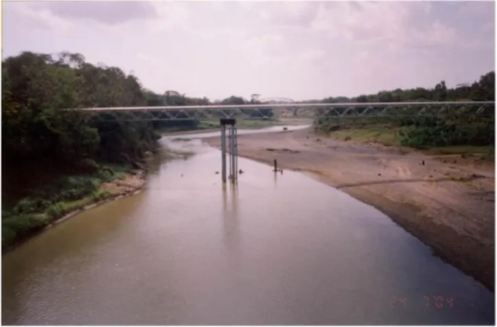 Gambar 8. Sedimentasi di hulu jembatan Bantar 