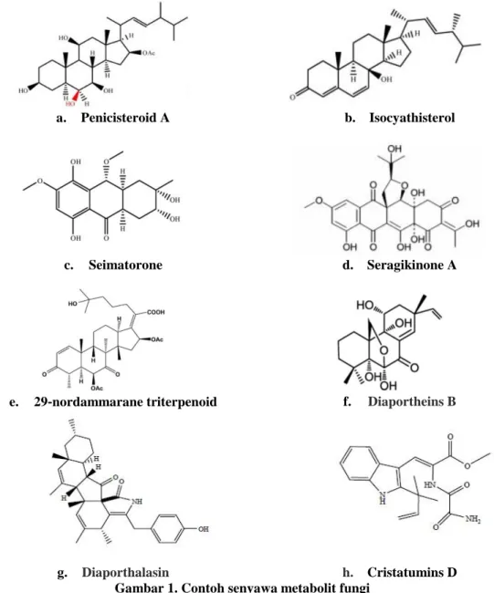 Gambar 1. Contoh senyawa metabolit fungi 