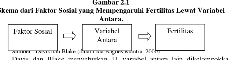 Gambar 2.1 Skema dari Faktor Sosial yang Mempengaruhi Fertilitas Lewat Variabel 