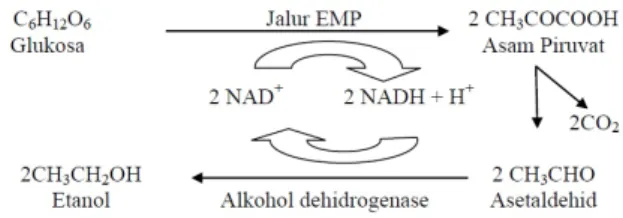 Tabel 1. Hasil hidrolisis jerami padi masing- masing-masing konsentarsi HCl
