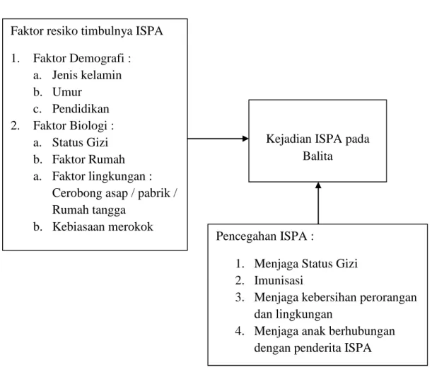 Gambar 2.1.  Kerangka Teori  Sumber : Suratun (2008) Faktor resiko timbulnya ISPA 