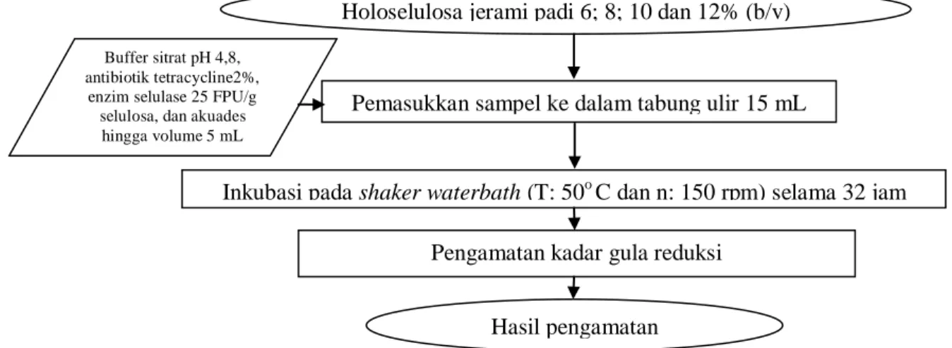 Gambar  10.  Diagram  alir  tahap  optimasi  konsentrasi  substrat  (Dowe  dan  McMillan, 2008 yang telah dimodifikasi)