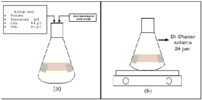 Gambar 1.(a) Pembuatan inokulum yeast    dan (b) inokulum di shaker 