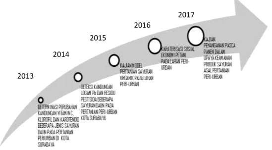 Gambar 1.  Road map penelitian 2013 