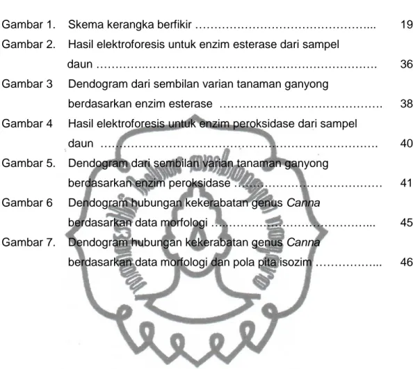 Gambar 1.  Skema kerangka berfikir ………………………………………...  19  Gambar 2.  Hasil elektroforesis untuk enzim esterase dari sampel  