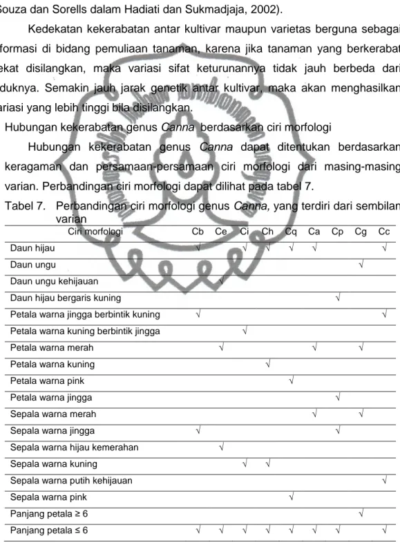 Tabel 7.  Perbandingan ciri morfologi genus Canna, yang terdiri dari sembilan  varian 