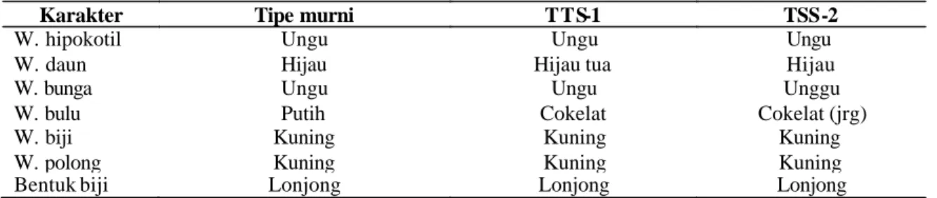 Tabel 3. Perbandingan secara kualitatif antara tipe murni dan simpang varietas Sindoro