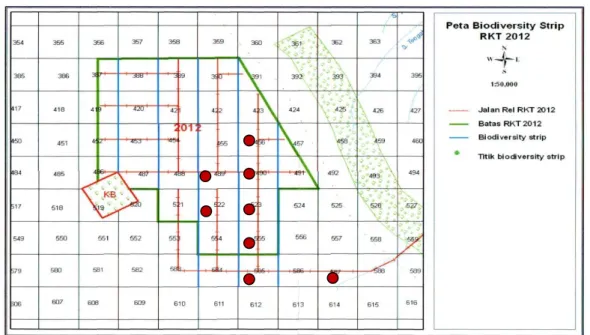 Gambar  1.Peta  RKT  2012  PT.  Diamond  Raya  Timber  Kabupaten  Rokan  Hilir  Provinsi      Riau  (Dokumentasi  PT