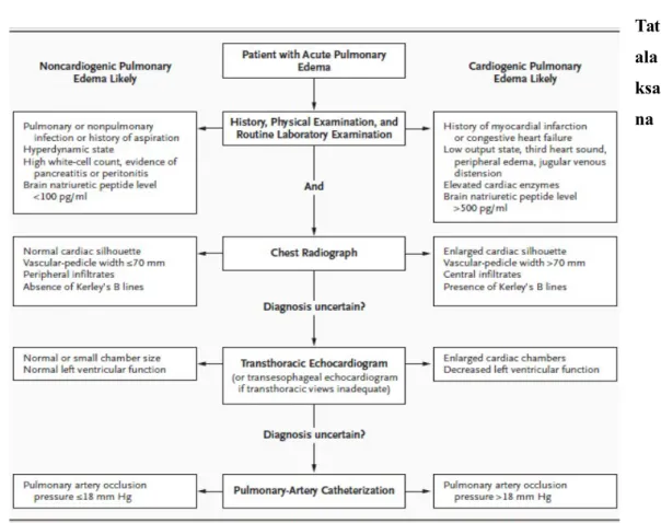 Gambar 7. Alogaritma diagnosis Edema Paru (Lorraine, 2005)