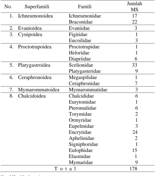 Tabel  3  Jumlah  morfospesies  ordo Hymenoptera parasitoid yang  ditemukan pada perangkap nampan kuning dan malaise  