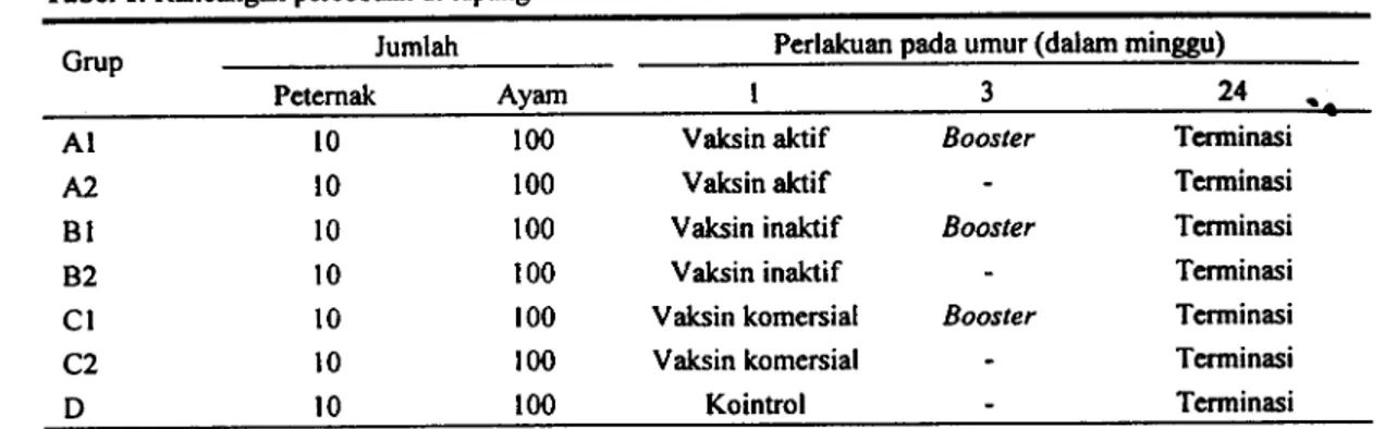 Tabel 2. Rancangan percobaan di laboratorium