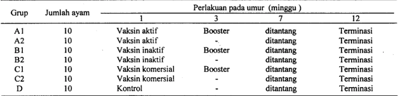 Tabel 2. Rancangan percobaan di laboratorium